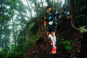 BIB: 
                            <button type="button" onclick="openModal(26232564)" class="btn btn-primary btn-sm float-right btn-popup" data-toggle="modal" data-target=".modal-high-quality">
                        <i class="fas fa-shopping-cart"></i> Add to Cart
                    </button>
                                            <button type="button" onclick="isThisMe(26232564, true)" class="btn btn-success btn-sm float-right btn-popup btn-isme hidden" data-toggle="tooltip" data-placement="bottom" title="นี่คือรูปของคุณใช่ไหม คลิกที่นี่เพื่อเอาเข้าอัลบั้ม">
                        <i class="fas fa-plus"></i> Add to album
                    </button>
                    <button type="button" onclick="isThisMe(26232564, false)" class="btn btn-warning btn-sm float-right btn-popup btn-isnotme hidden">
                        <i class="fas fa-ban"></i> Remove from album
                    </button>